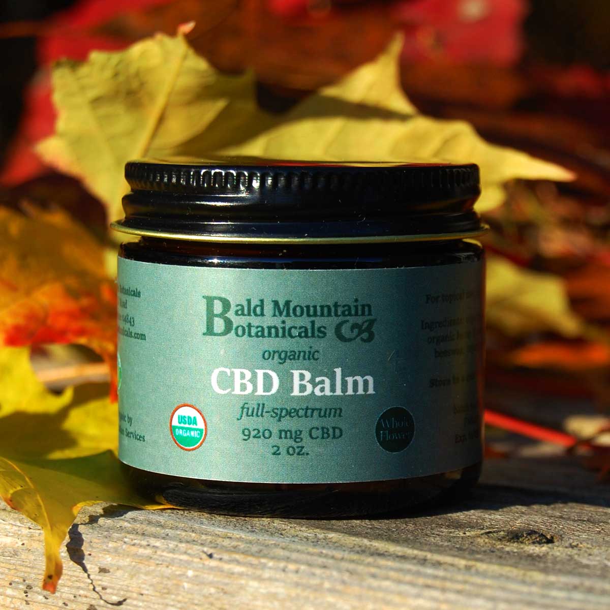 jar of balm with autumn leaves in background