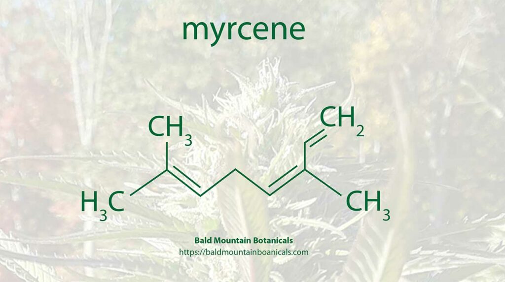 chemical structure of myrcene