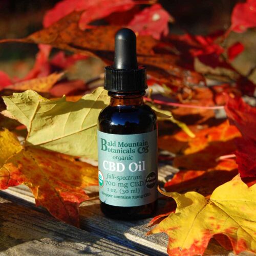 eyedropper bottle of CBD oil with colorful autumn leaves