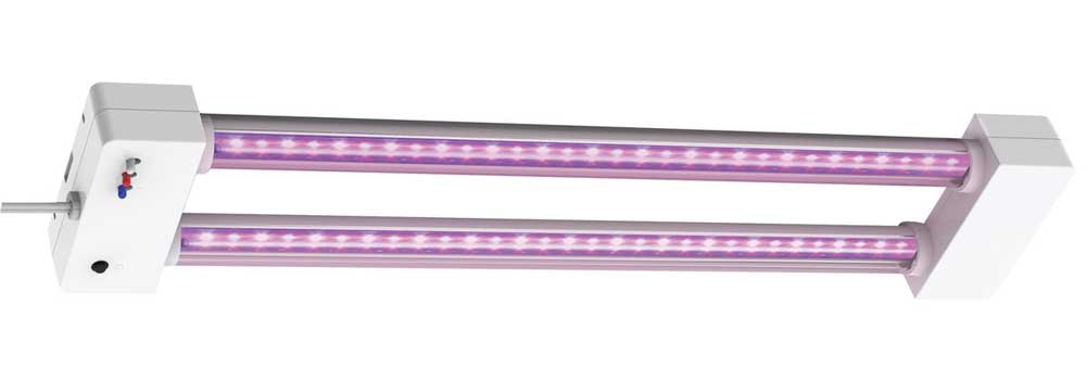 LED light